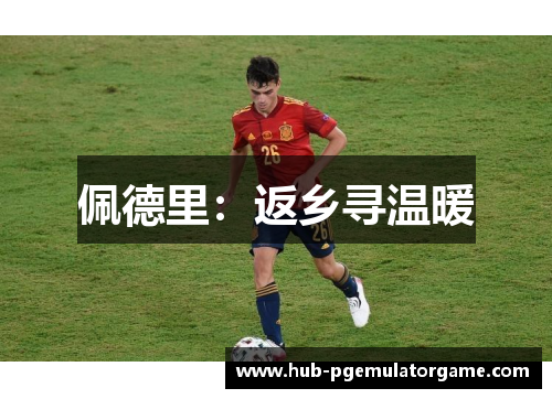 佩德里：返乡寻温暖