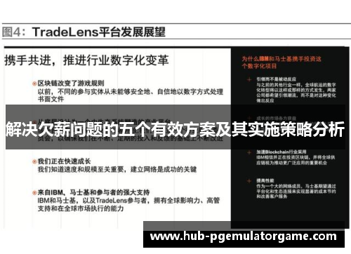 解决欠薪问题的五个有效方案及其实施策略分析 解决欠薪问题的五个有效方案及其实施策略分析