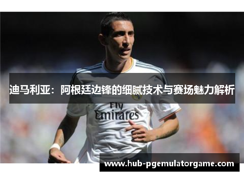 迪马利亚:阿根廷边锋的细腻技术与赛场魅力解析 迪马利亚:阿根廷边锋的细腻技术与赛场魅力解析
