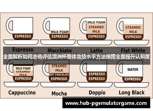 全面解析如何准确评估澳洲杯整体竞技水平方法指南全面提升认知度 全面解析如何准确评估澳洲杯整体竞技水平方法指南全面提升认知度