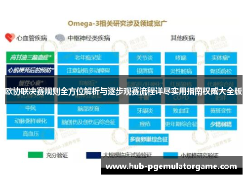 欧协联决赛规则全方位解析与逐步观赛流程详尽实用指南权威大全版
