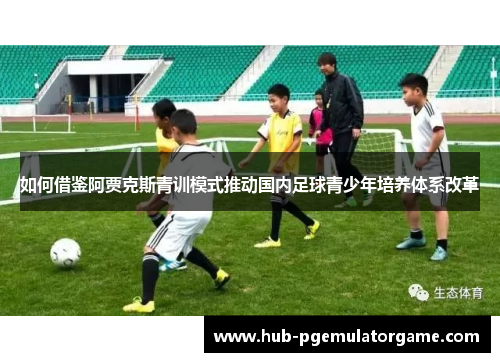如何借鉴阿贾克斯青训模式推动国内足球青少年培养体系改革
