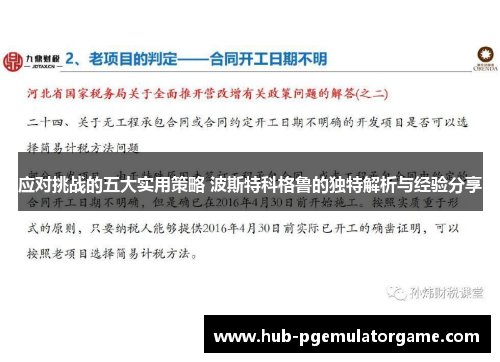 应对挑战的五大实用策略 波斯特科格鲁的独特解析与经验分享