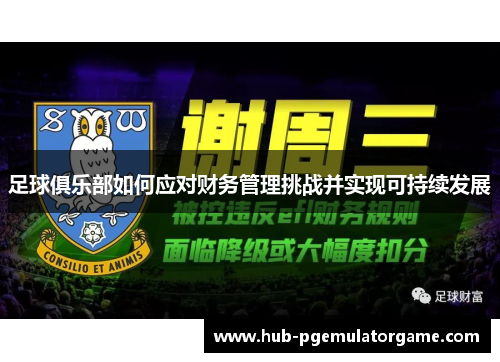 足球俱乐部如何应对财务管理挑战并实现可持续发展