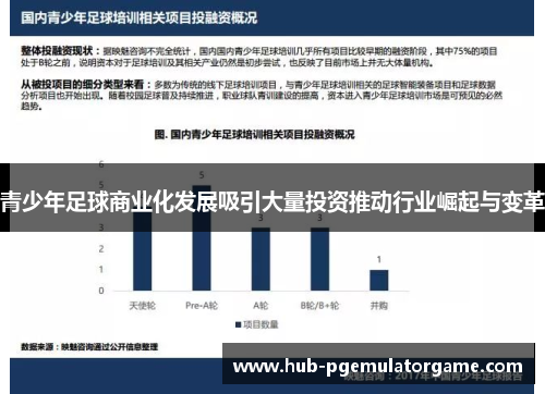 青少年足球商业化发展吸引大量投资推动行业崛起与变革